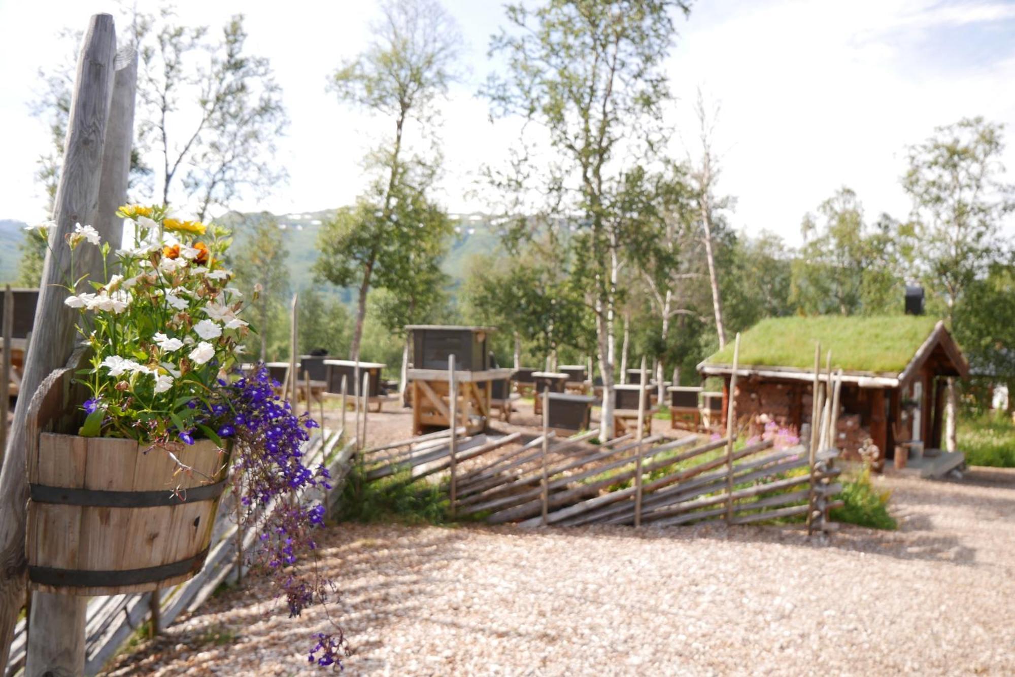 Bardu Huskylodge Bagian luar foto
