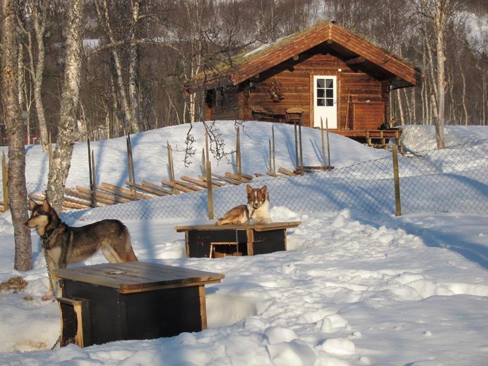 Bardu Huskylodge Bagian luar foto