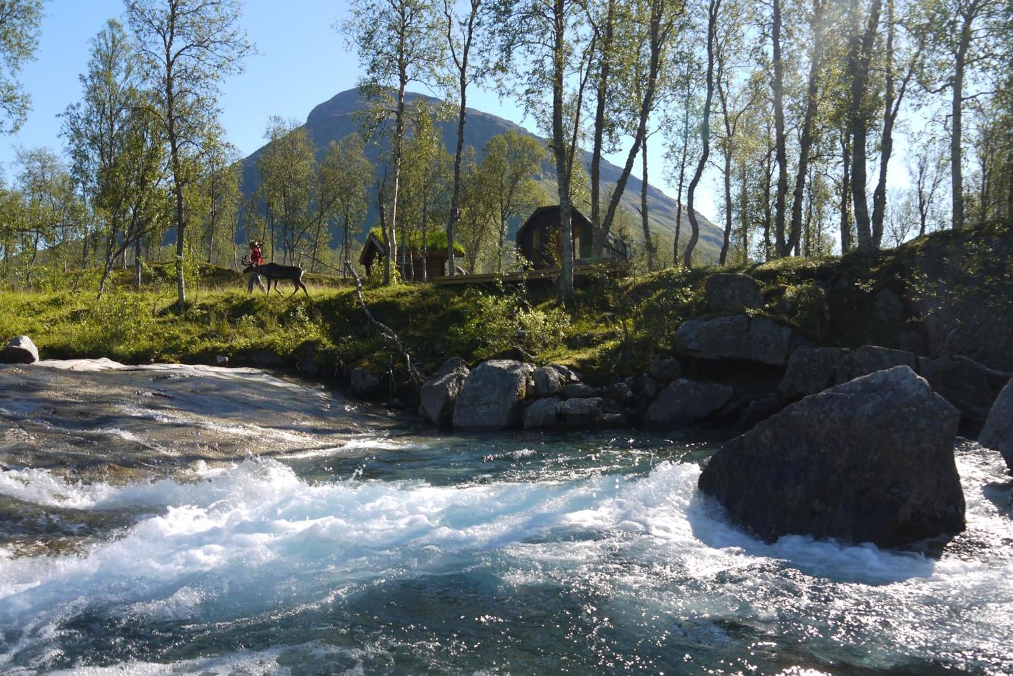 Bardu Huskylodge Bagian luar foto