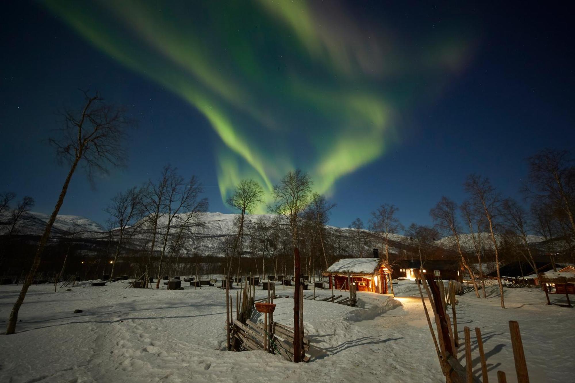 Bardu Huskylodge Bagian luar foto