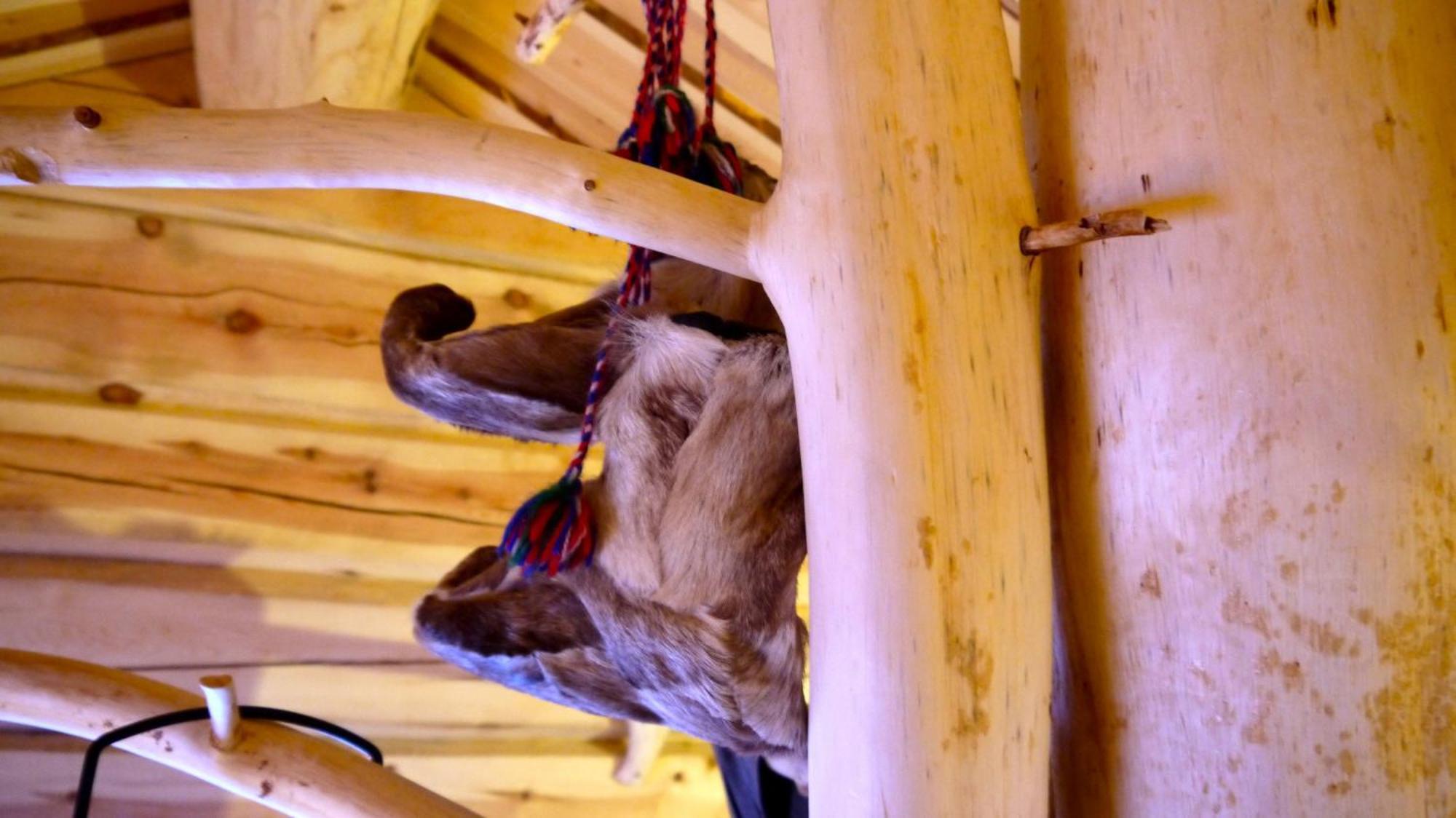 Bardu Huskylodge Bagian luar foto
